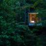 edelførst tree houses, © Robert Tober An illuminated tree house in a dense forest at dusk.