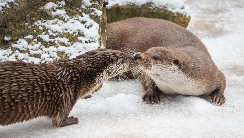 Otto &amp; Lotti Winter 2025_3, &copy; Alexander Aigner