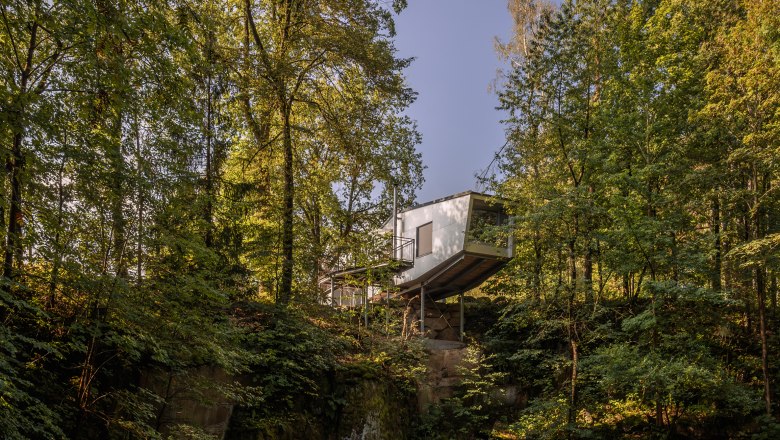 Modernes Baumhaus in einem Wald, das sich in einem ruhigen Teich spiegelt.