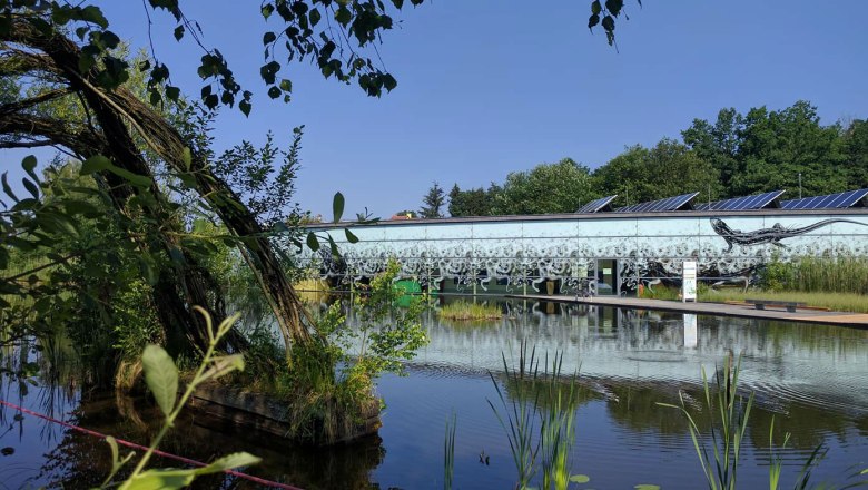 Weidenbogen, © UnterWasserReich/Christiane Mader