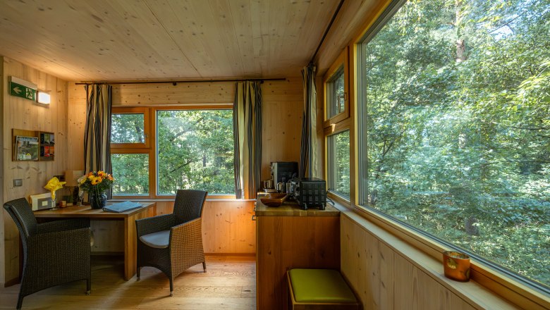 Innenansicht einer gemütlichen Baumhaus-Lodge mit Holzwänden, großen Fenstern und Sitzbereich.
