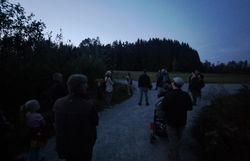 Nachterlebniswanderung durch den Naturpark Hochmoor