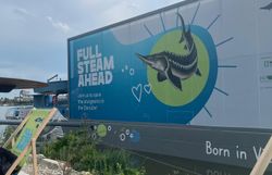 Aufzuchtboot auf der Donauinsel