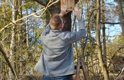 Aufhängen der Nistkästen im Wassergarten
