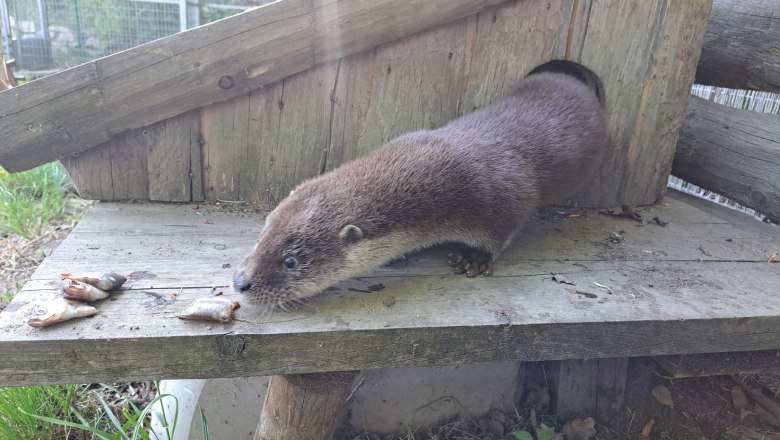 Lotti im UnterWasserReich, © UnterWasserReich