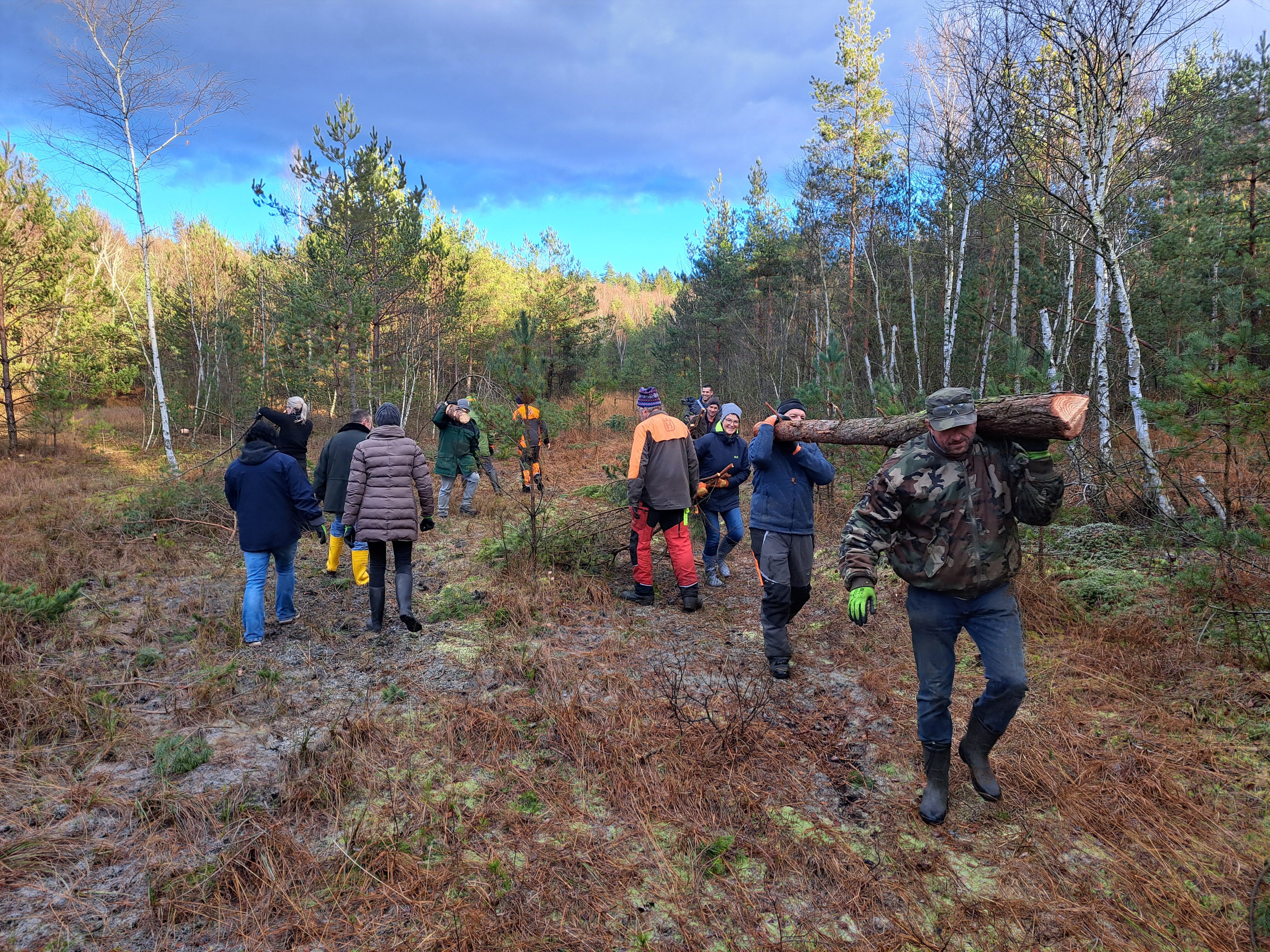 Pflegeeinsatz im Moorwald mit Ehrenamtlichen im Rahmen des Projekts
