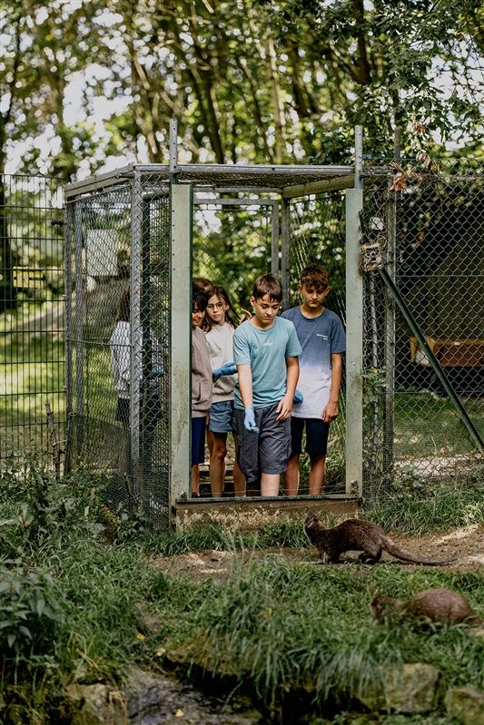 Kinder beim Otterfüttern