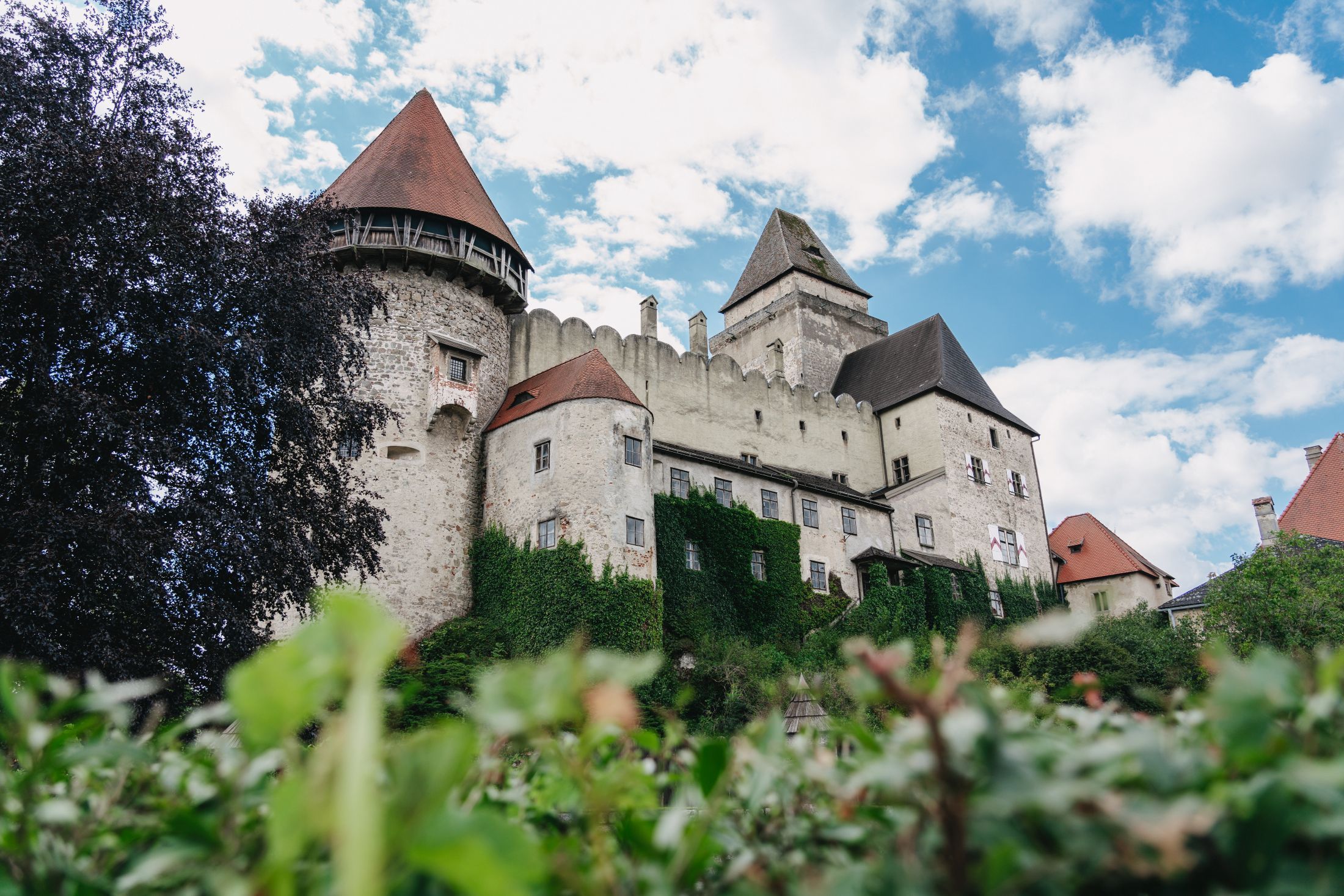 Burg Heidenreichstein mit Türmen und bewachsenen Mauern vor blauem Himmel.