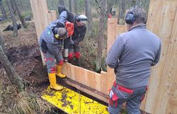 Arbeiter setzen die Spundwände in den Moorboden