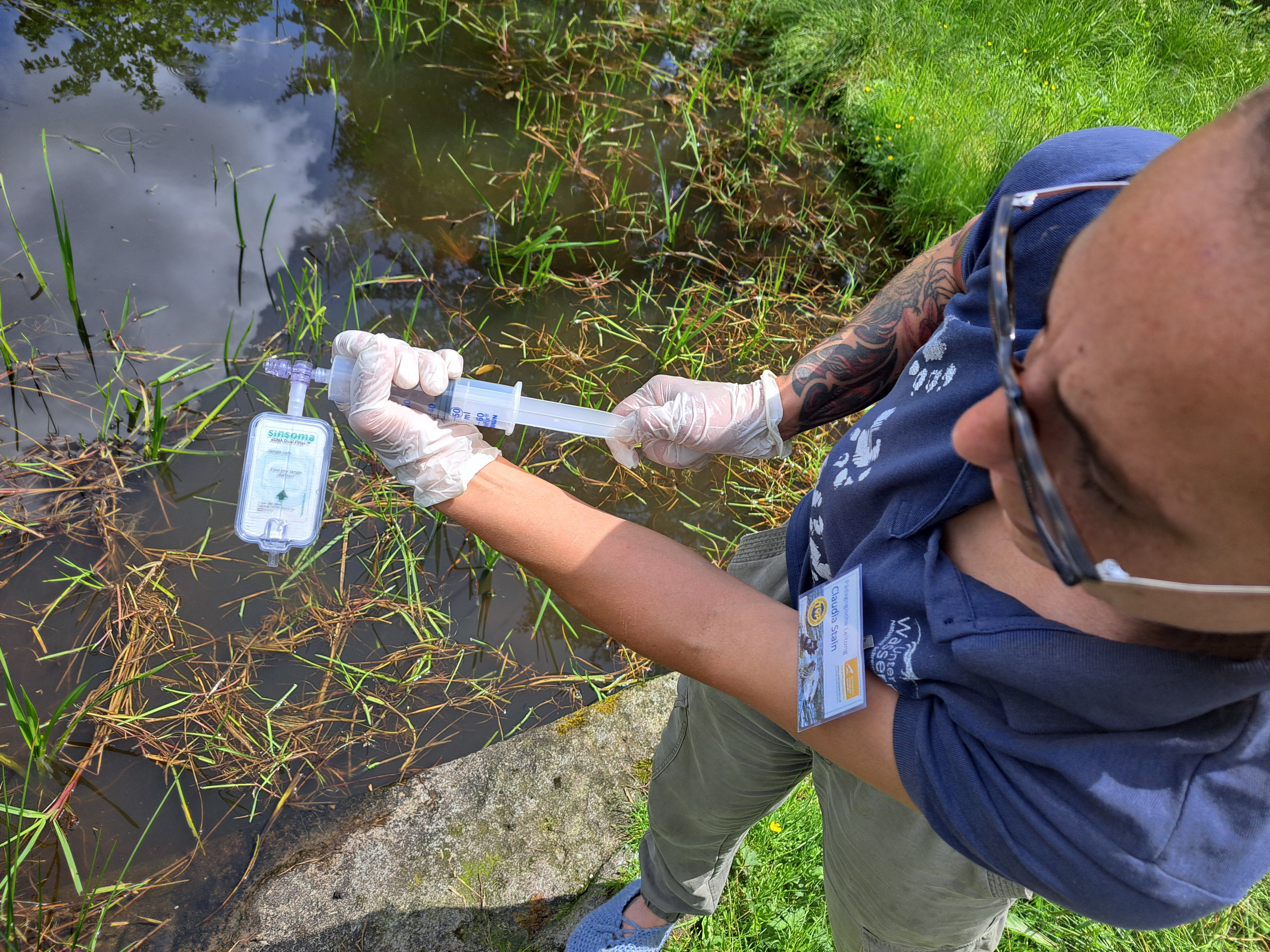 Projekt Frosch im Wassertropfen