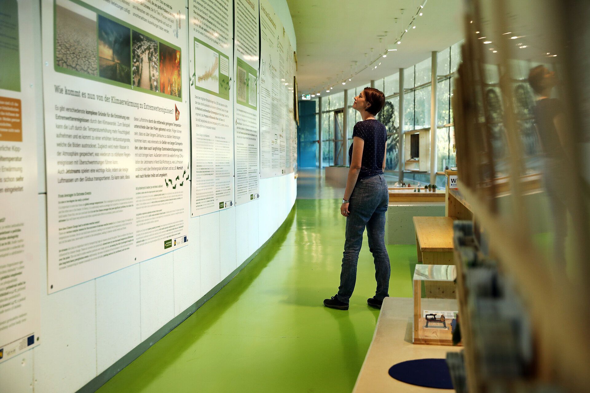 Eine Frau betrachtet eine große Tafel der Ausstellung im Naturparkzentrum UnterWasserReich.