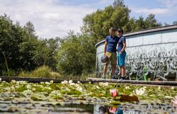 Inmitten einer malerischen Wasserlandschaft stehen zwei Radfahrer, die die Ruhe und Schönheit der Natur genießen. Umgeben von üppigem Grün und blühenden Seerosen spiegelt sich der Himmel im klaren Wasser, während die sanfte Brise eine erfrischende Atmosphäre schafft.