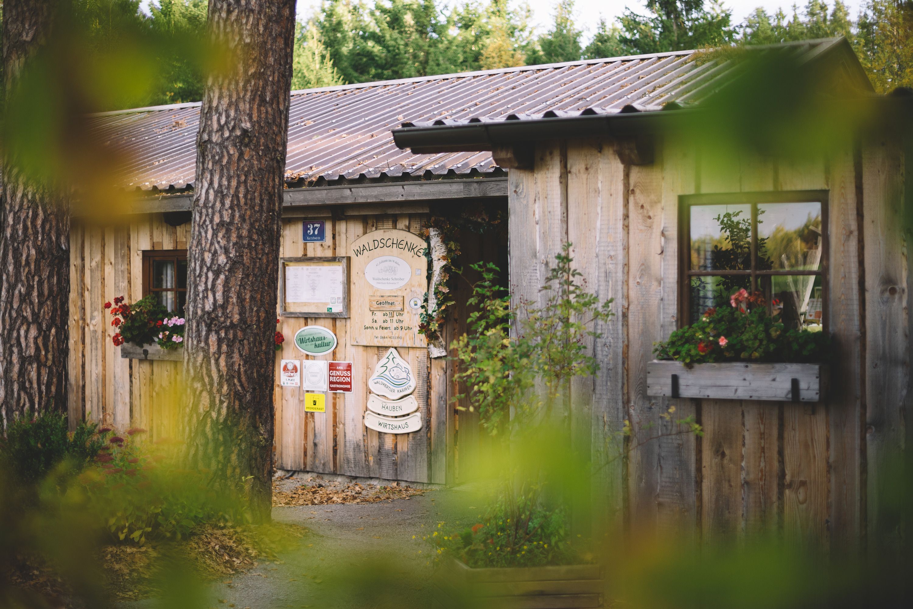Holzhaus mit Blumenkasten und Schildern an der Tür, umgeben von Bäumen.