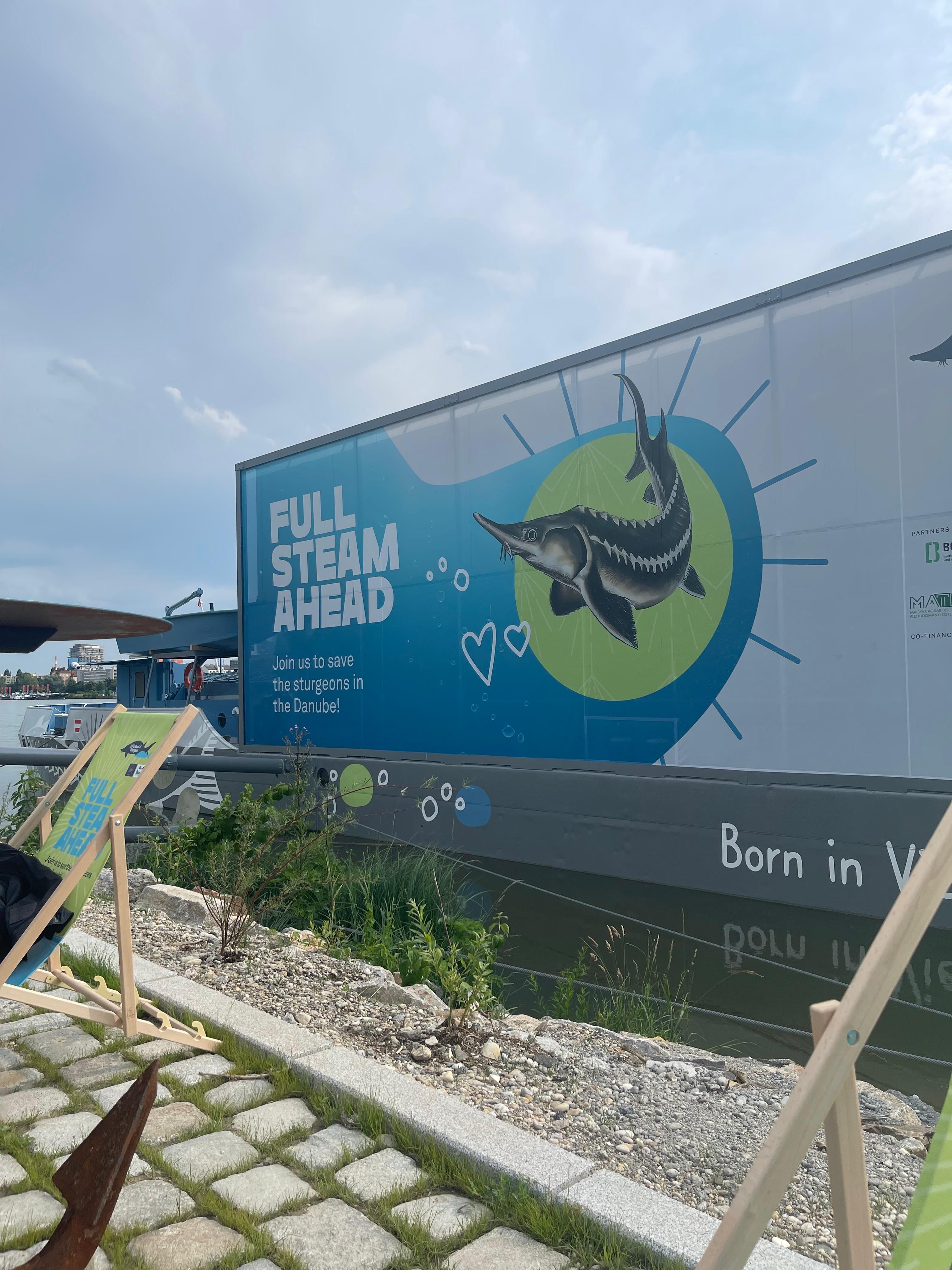 Aufzuchtboot auf der Donauinsel