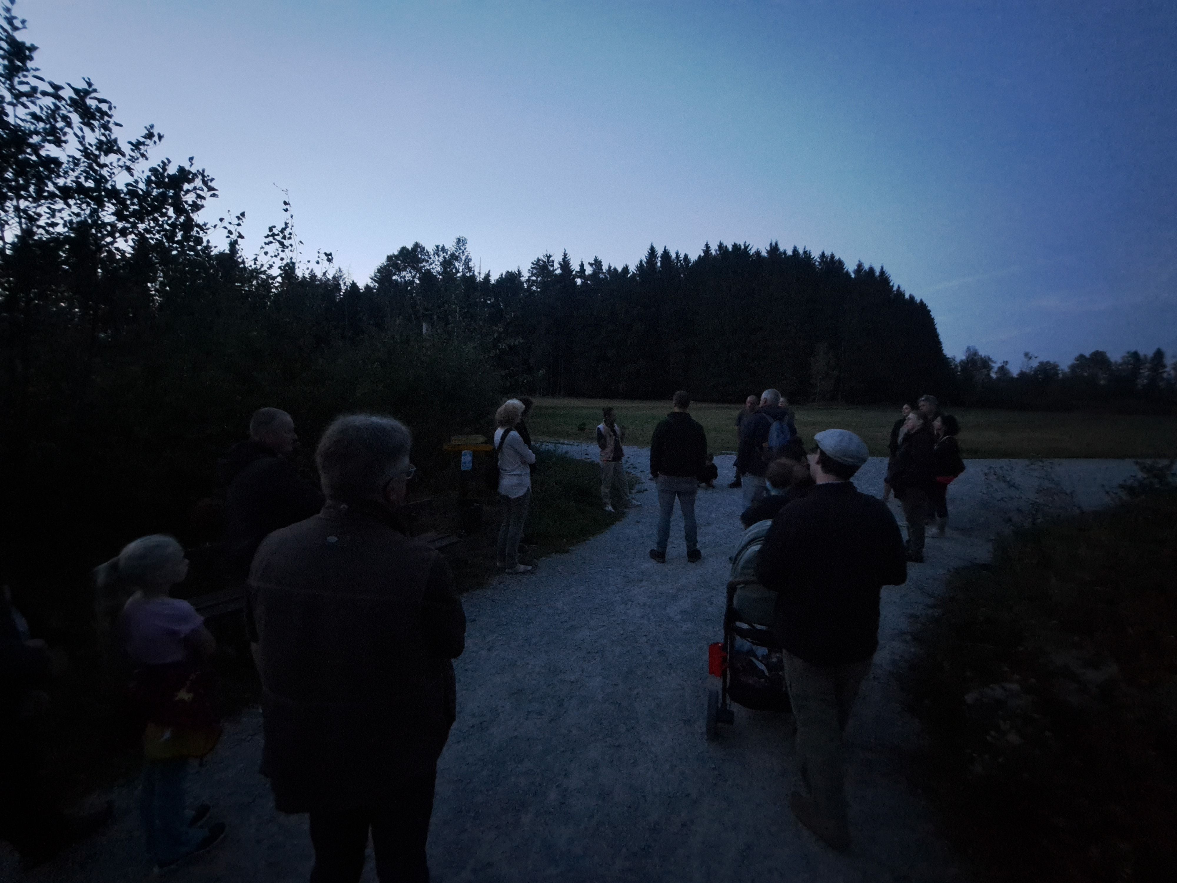 Nachterlebniswanderung durch den Naturpark Hochmoor