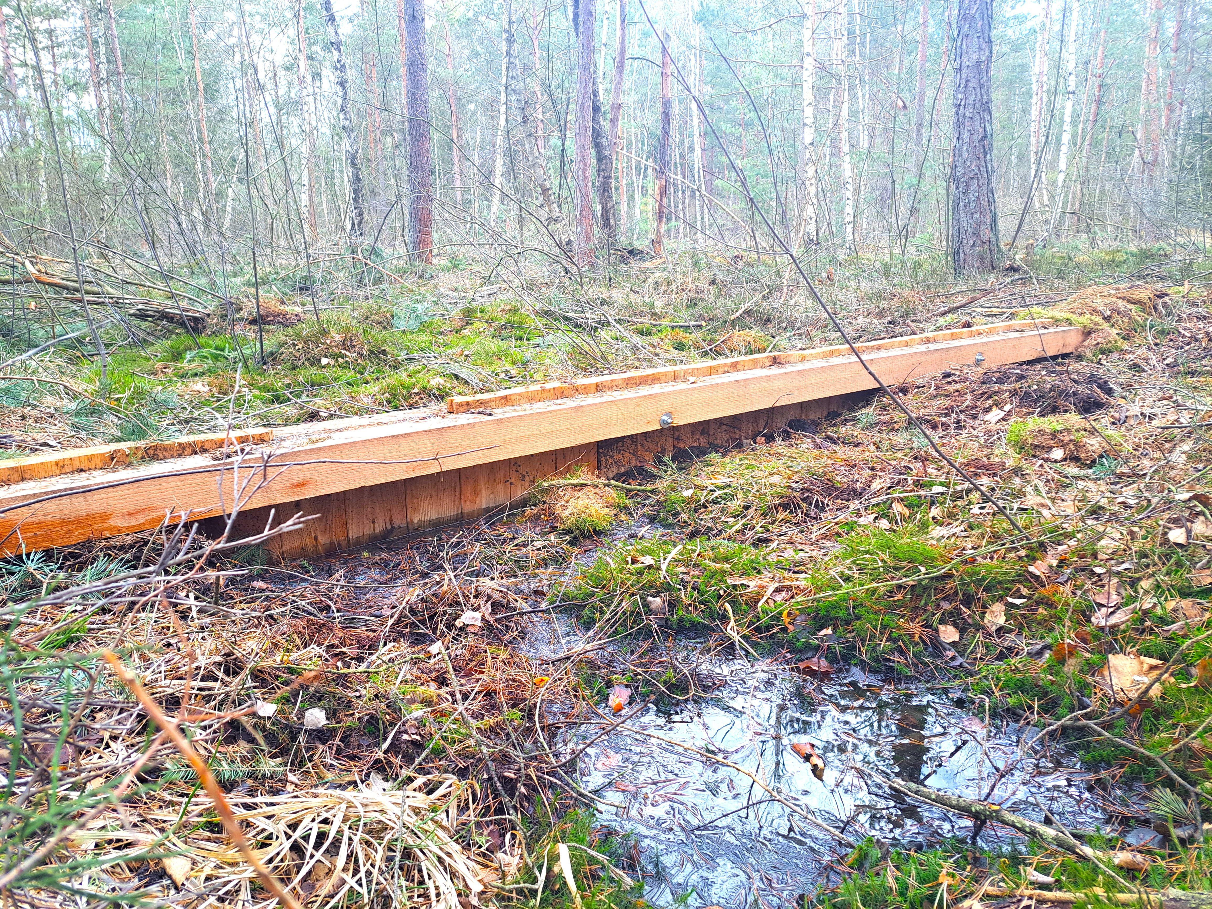 Moorrenaturierung_Spundwände gesetzt