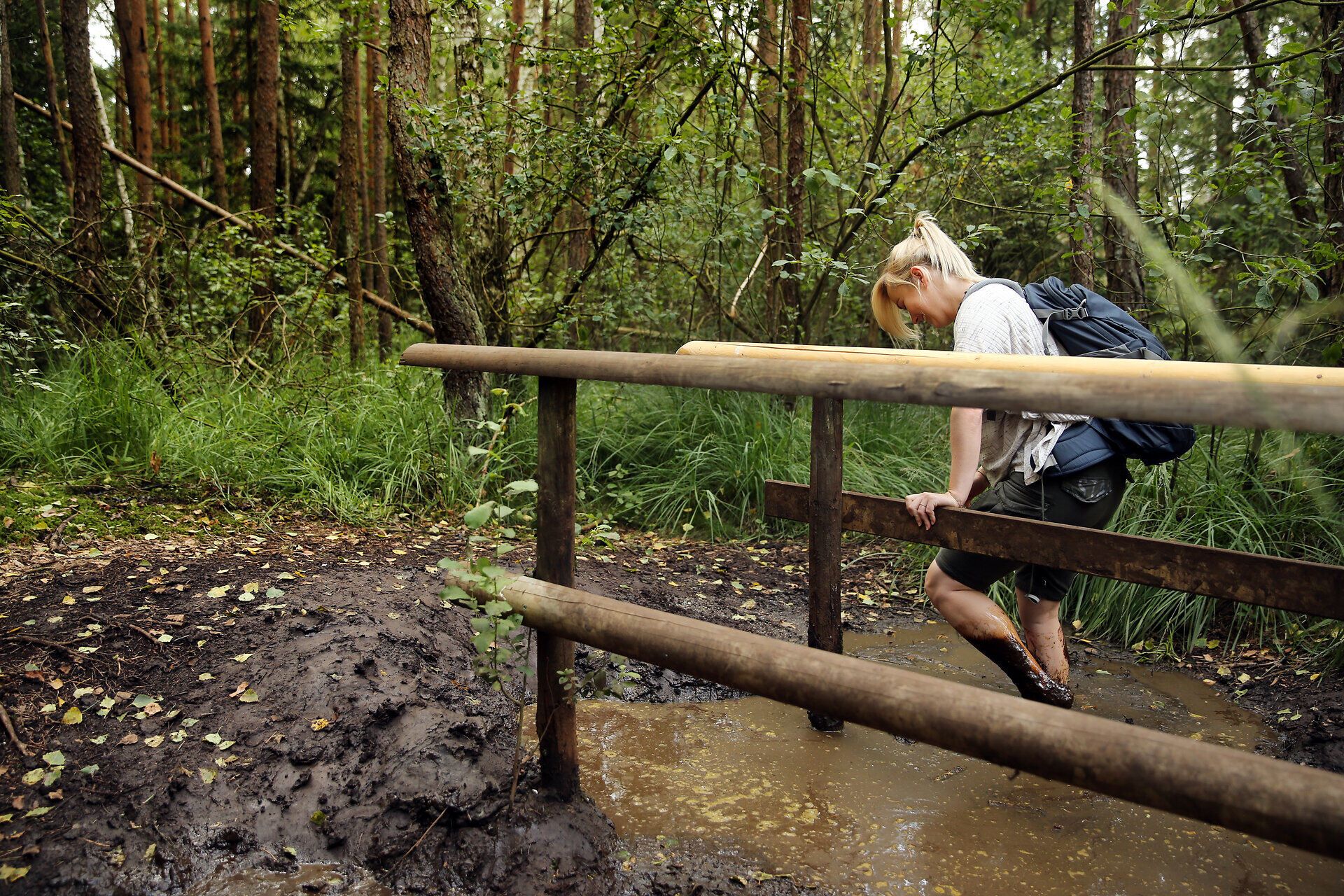 Ein Wanderer überquert vorsichtig einen schmalen Steg, umgeben von der üppigen, grünen Vegetation des Hochmoors. Die frische, klare Luft und das sanfte Plätschern des Wassers schaffen eine friedliche Atmosphäre, die zum Verweilen einlädt. Hier, inmitten der Natur, wird jeder Schritt zu einem unvergesslichen Erlebnis.