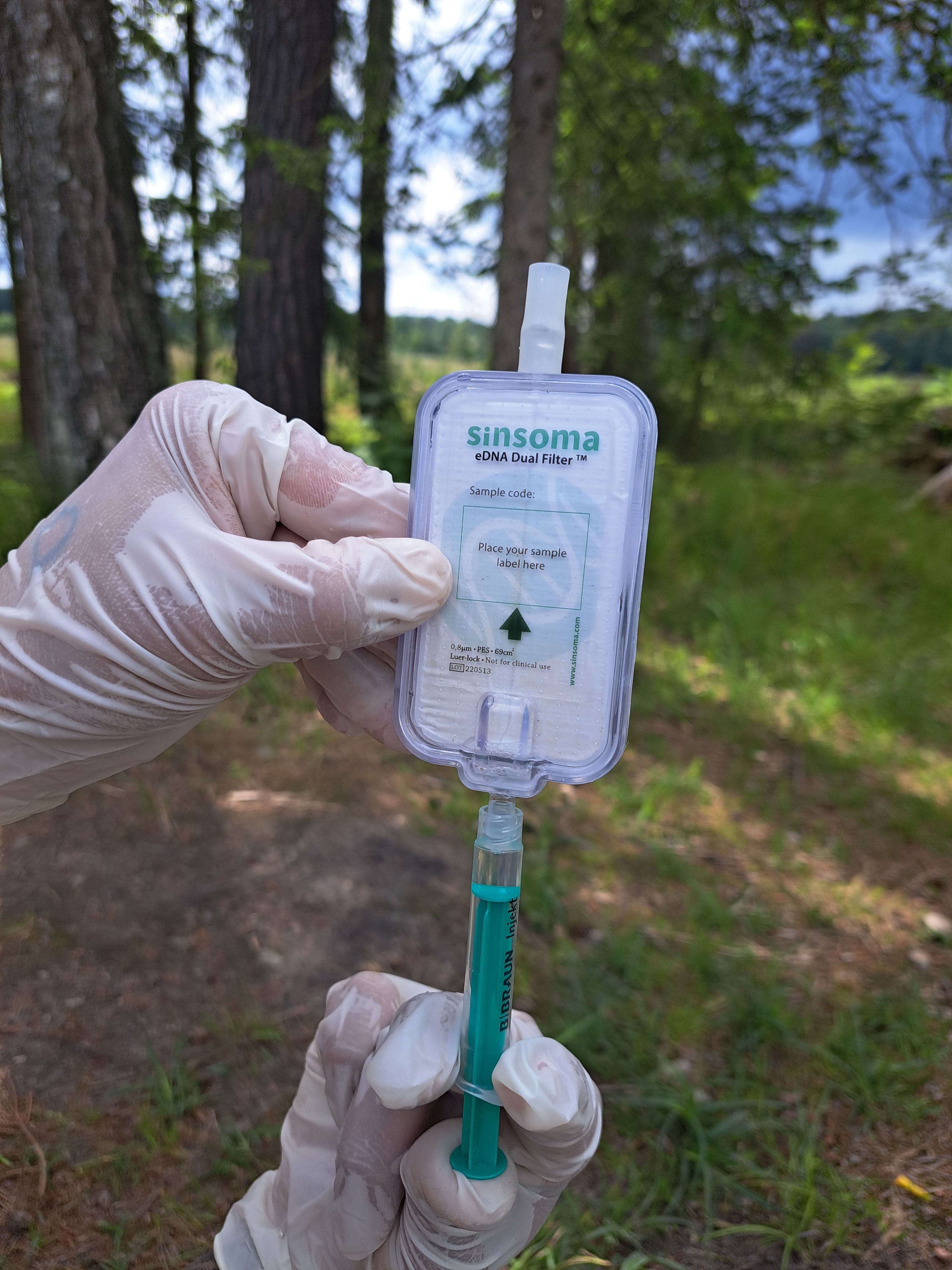 Projekt Frosch im Wassertropfen