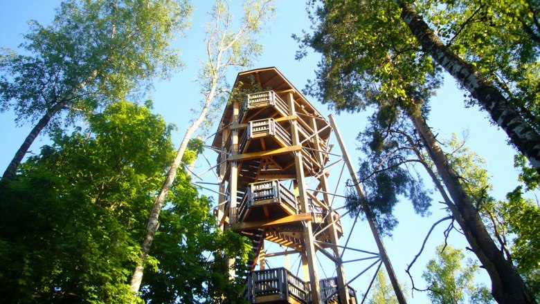 Blockheide observation tower, © Waldviertel Tourismus
