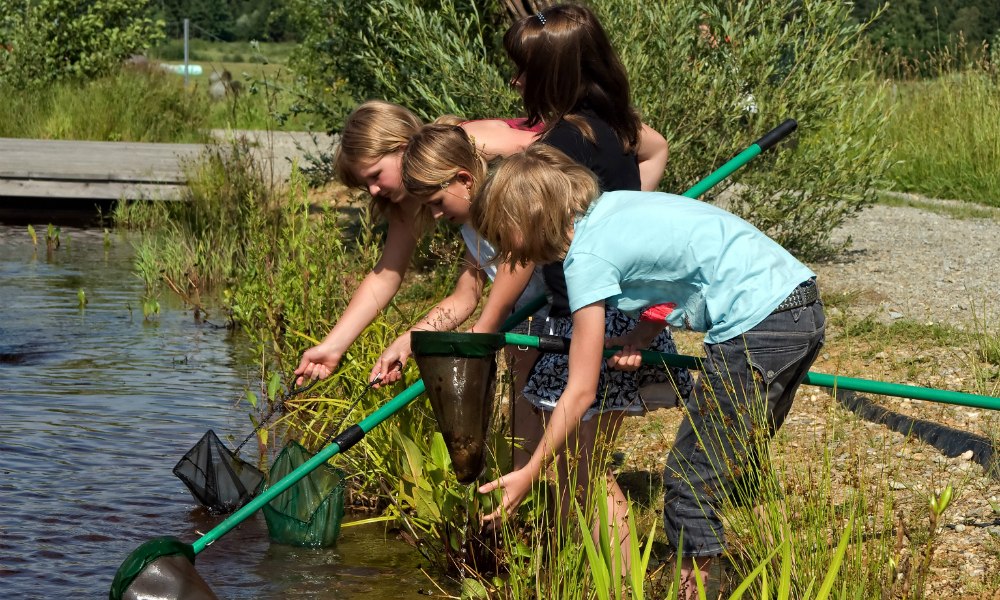 Keschern, &copy; UnterWasserReich