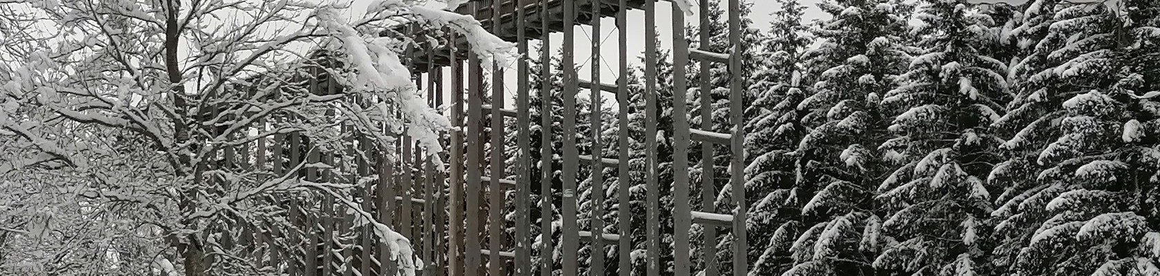 Header Winter im Naturpark, © Christiane Mader