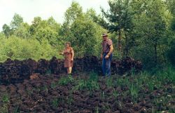 zwei Personen beim Arbeiten im Schremser Torfstich