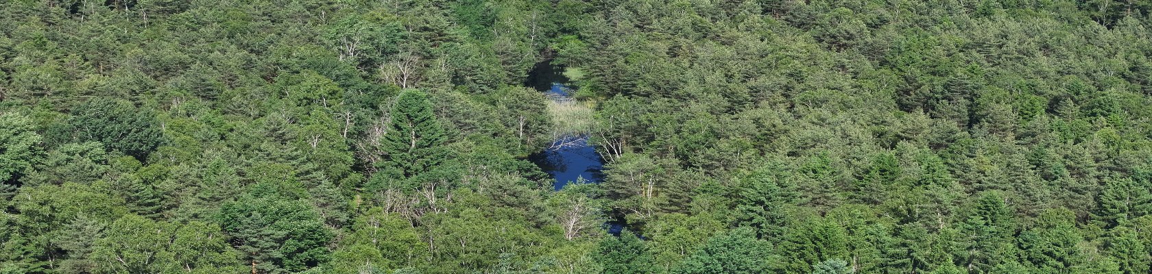 Naturpark Hochmoor Schrems , © Christian Ukweli