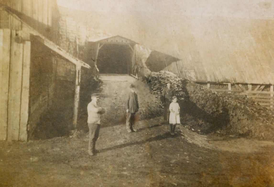 Alte Torffabrik Schrems