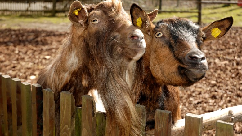 Naturpark Geras, &copy; Naturpark Geras