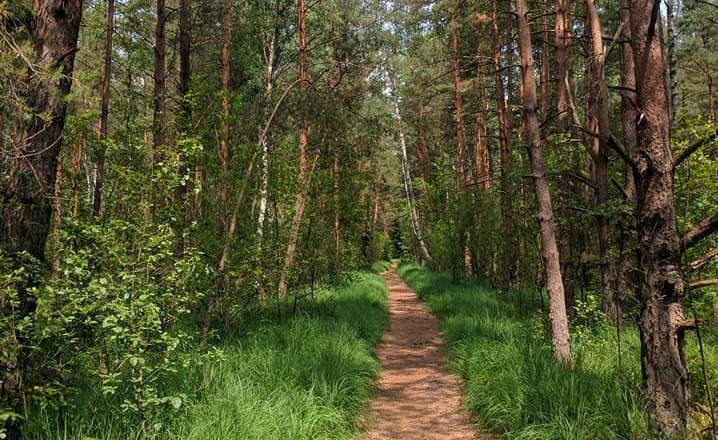 Wanderwege im Naturpark, © UnterWasserReich/Christiane Mader