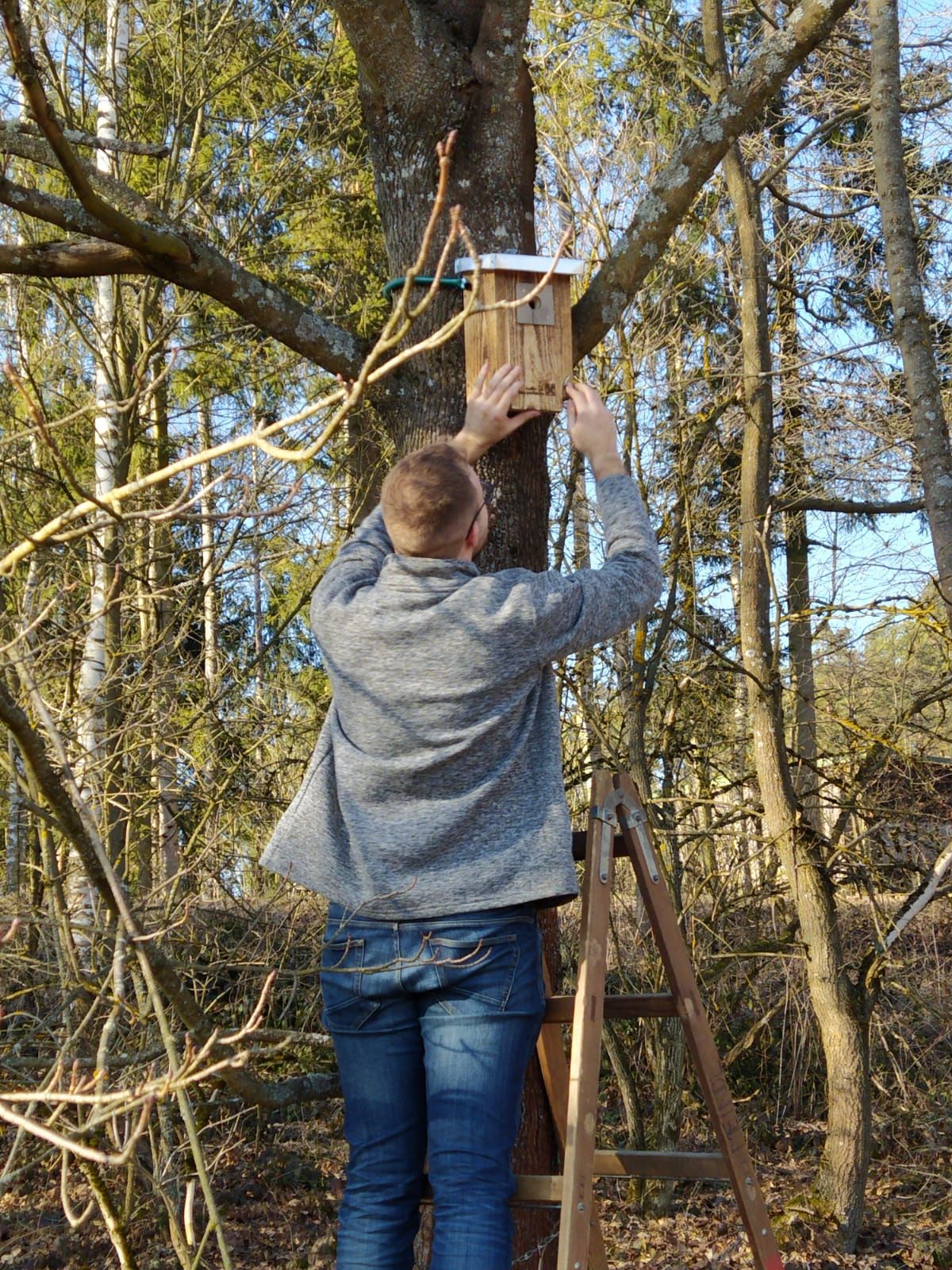 Aufhängen der Nistkästen im Wassergarten