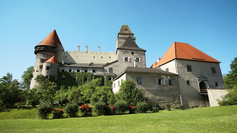 Burg Heidenreichstein mit grüner Wiese und blauem Himmel.