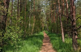 Wanderwege im Naturpark, © UnterWasserReich/Christiane Mader