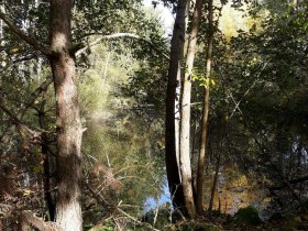 Stezka př&iacute;rodn&iacute;ho parku (trasa Tut-gut 2), &copy; Stadtgemeinde Schrems