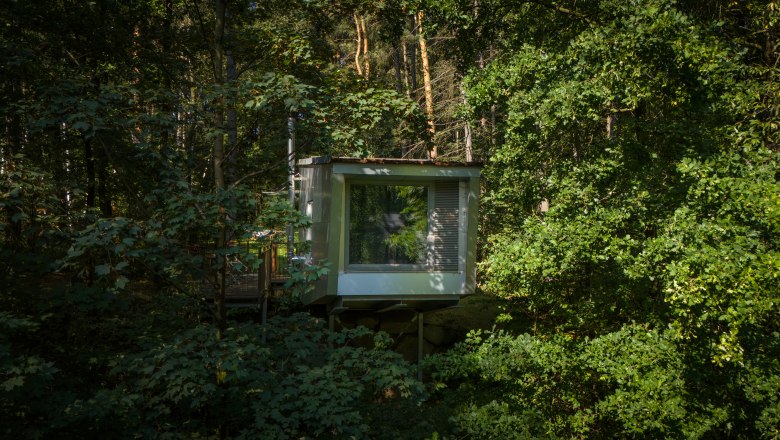 Ein modernes Baumhaus inmitten eines dichten Waldes.