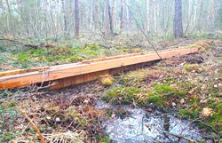 Moorrenaturierung_Spundwände gesetzt