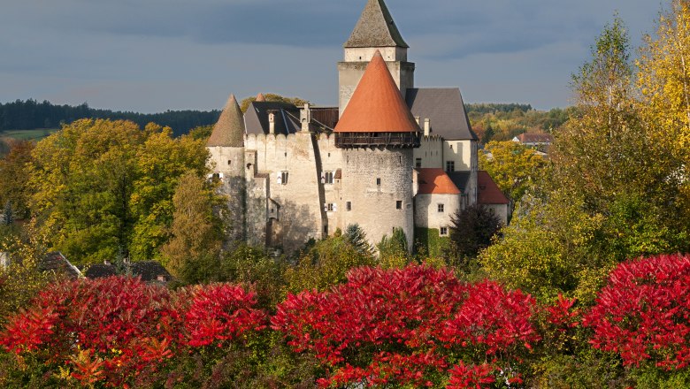 Wasserburg Heidenreichstein im Herbst mit roten Büschen im Vordergrund.