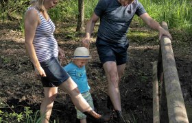 Moortreten, &copy; Wolfgang Dolak