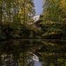 Baumhaus Lodge Schrems, © Baumhaus Lodge Schrems