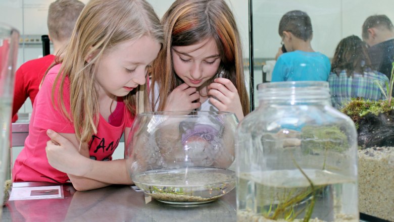 M&auml;dchen_Labor, &copy; UnterWasserReich/Sonja Eder