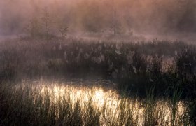 Hochmoor am Morgen, © Wolfgang Dolak