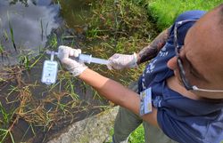 Projekt Frosch im Wassertropfen