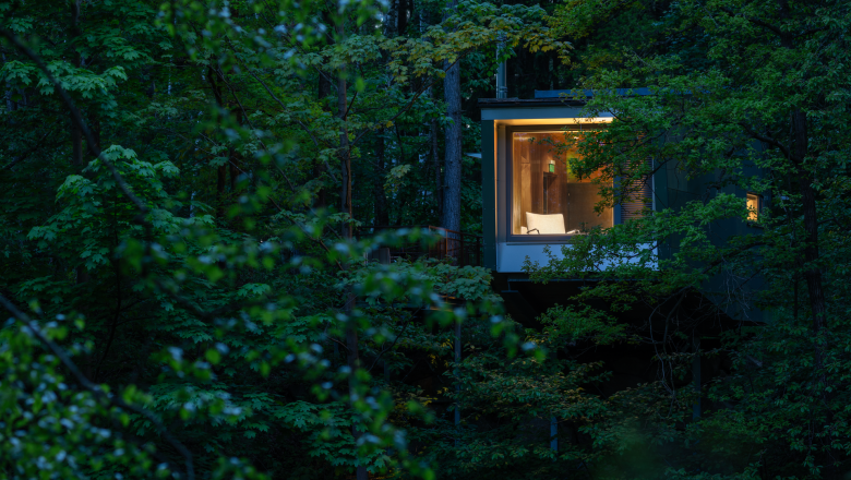 An illuminated tree house in a dense forest at dusk.