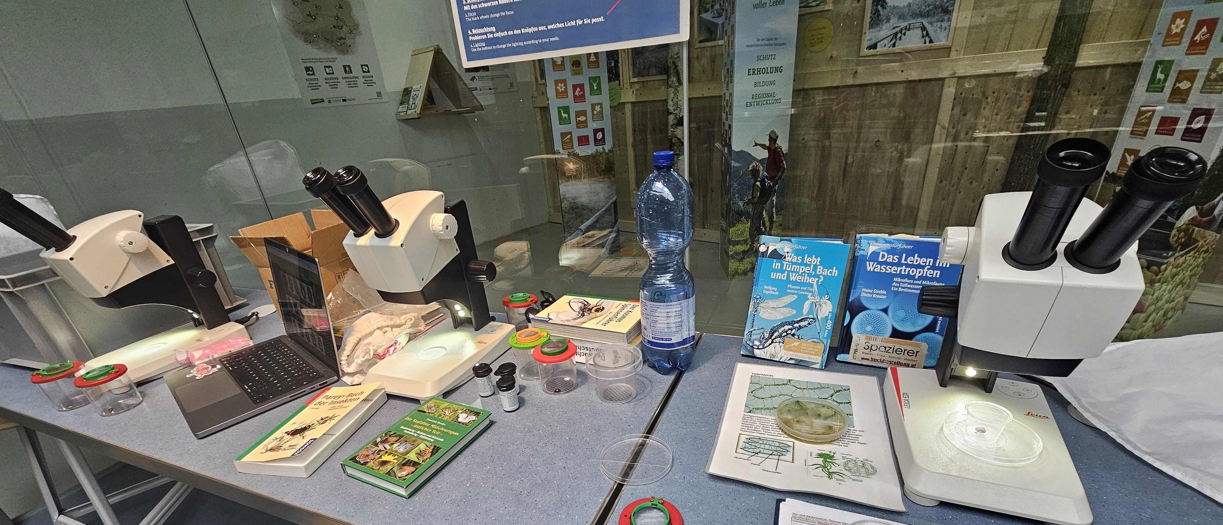 Artenbestimmung in der Mikroskopierstation des UnterWasserReichs