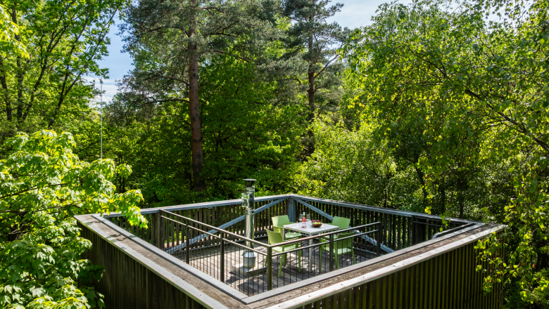 Tree house with terrace in a forest.