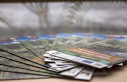 Infofolder Projekt Wetland City 2028