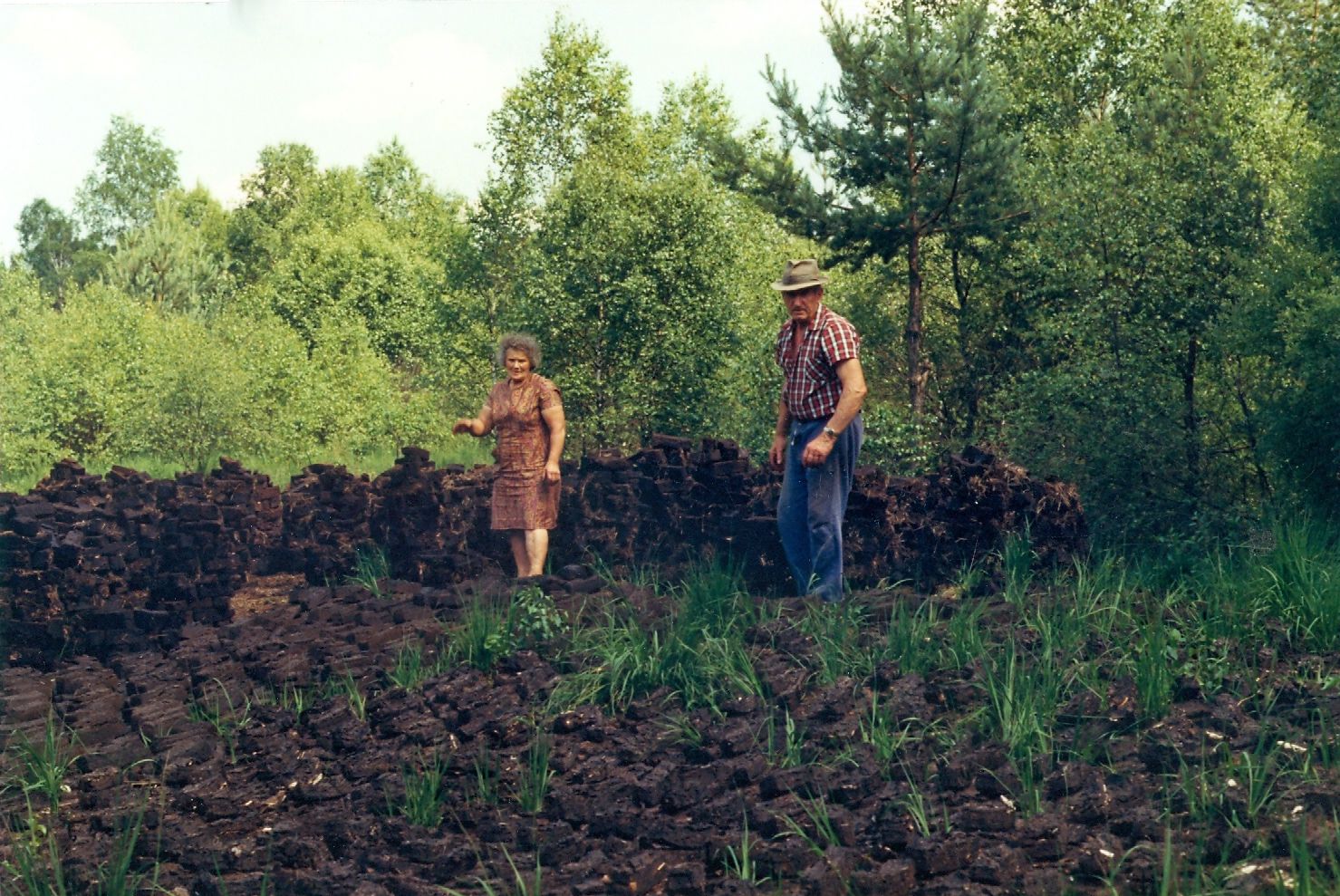 zwei Personen beim Arbeiten im Schremser Torfstich