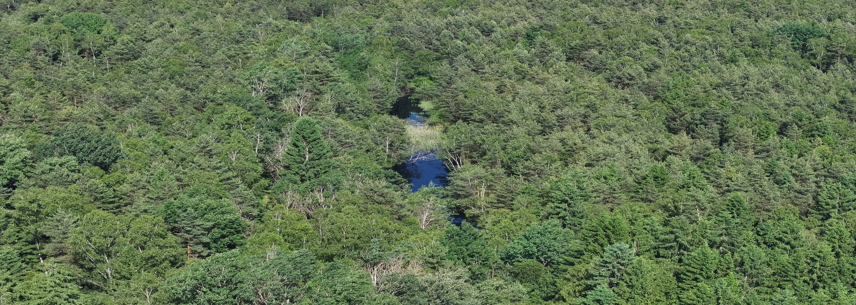 Naturpark Hochmoor Schrems , &copy; Christian Ukweli