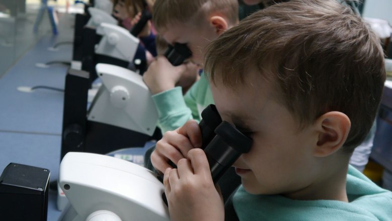 Kinder Mikroskopieren 2024, © UnterWasserReich/Ernst Artner