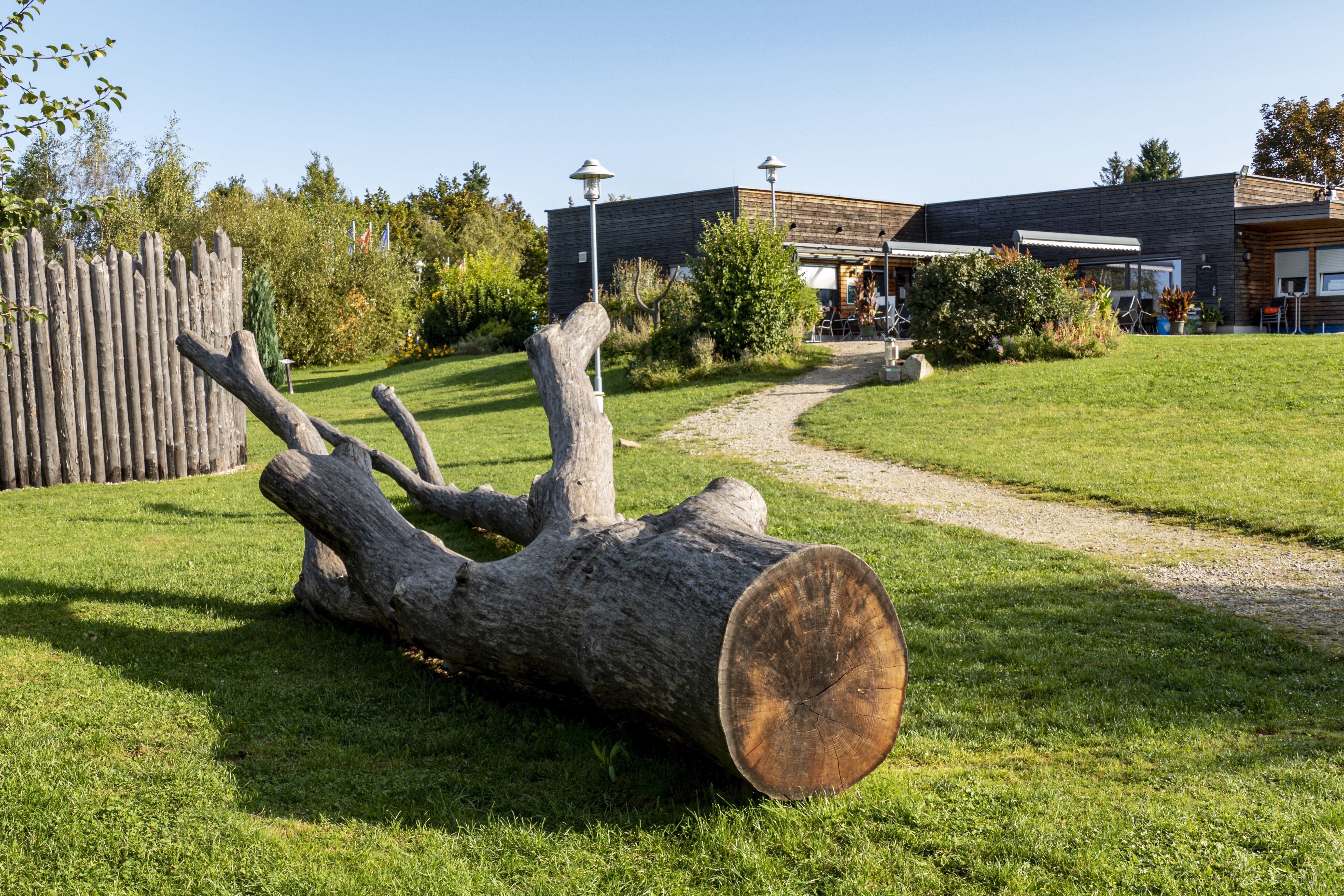 Ein Naturpark mit einem großen Baumstamm im Vordergrund und einem modernen Gebäude im Hintergrund.